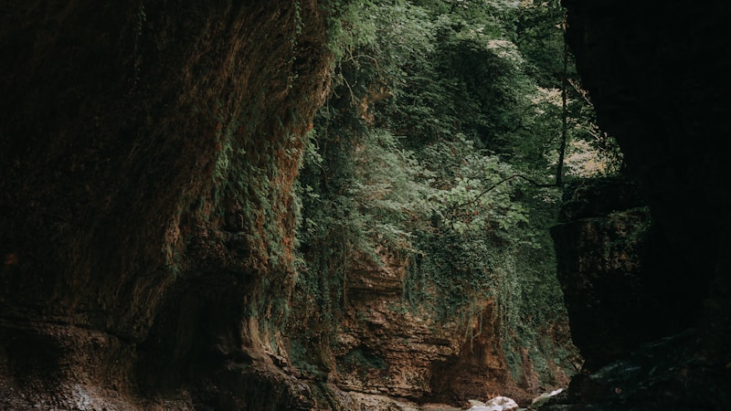 Multi-fuel stove burning brightly in a cosy room